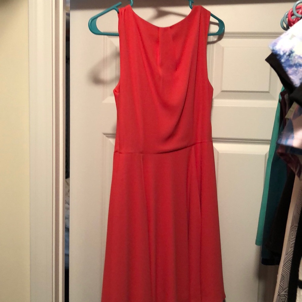 Express Dress - Picture 4 of 7